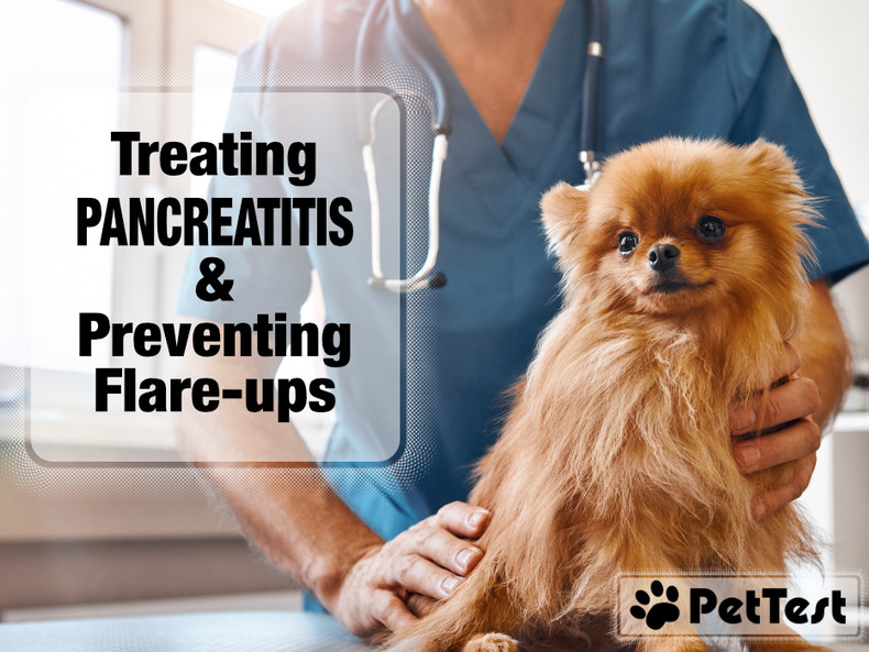 treating-pancreatitis-marquee-v2.jpg